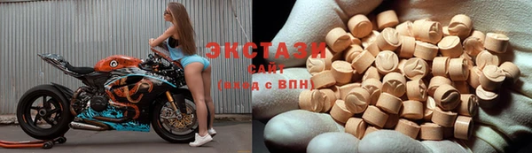 шишки Абаза