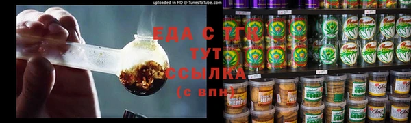 шишки Абаза