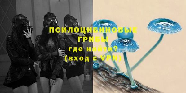 шишки Абаза