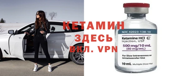 шишки Абаза