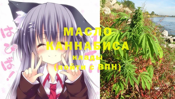 шишки Абаза