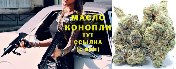 шишки Абаза