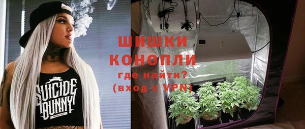 шишки Абаза