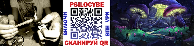 мега сайт Ковдор Галлюциногенные грибы Psilocybine cubensis как найти